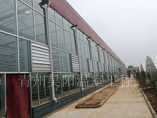 山西長治昕玥農(nóng)業(yè)育苗溫室